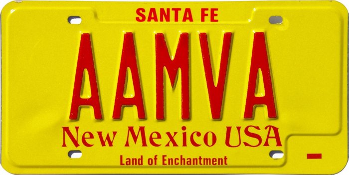 AAMVA1
